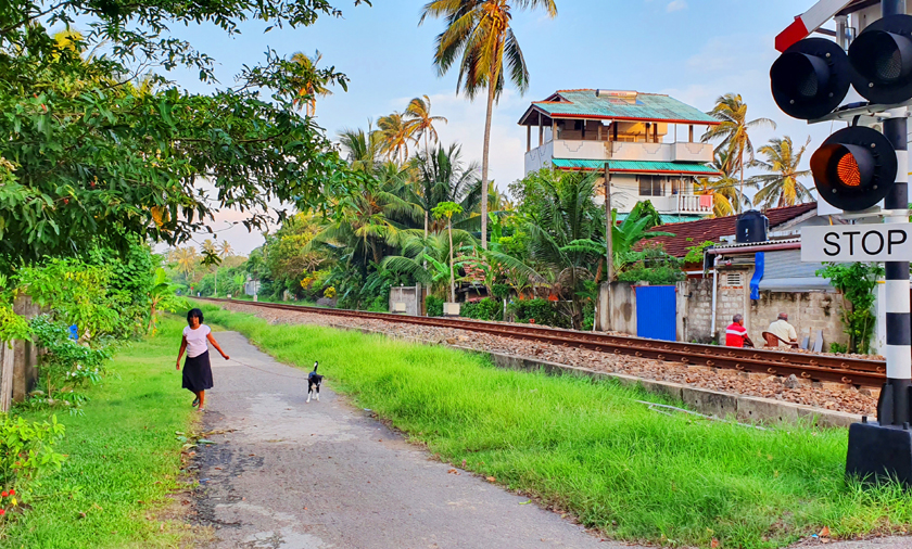 Fotografia Hikkaduwy zrobiona podczas podróży na Sri Lanke. Autorstwa Ani Wilanowskiej