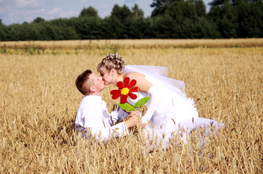Fotografia pary młodej na polu w zbożu z czerwonym kwiatem autorstwa Ani Wilanowskiej.