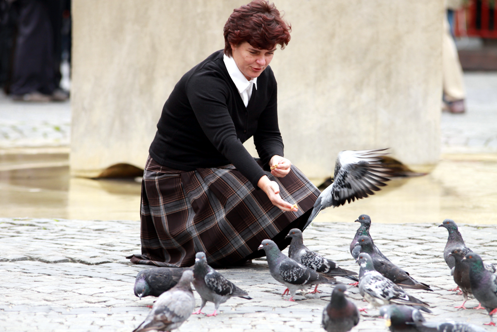 Fotografia kobiety karmiącej ptaki na starówce w Warszawie autorstwa Ani Wilanowskiej