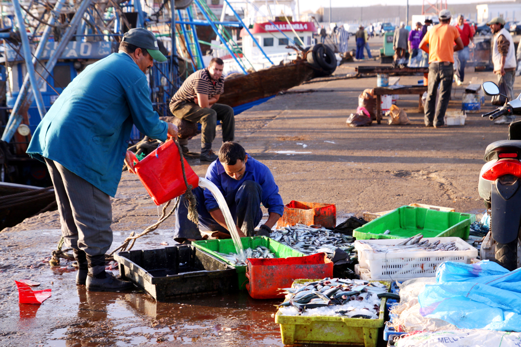 Fotografia rybaków na targu rybnym zrobiona w Agadirze podczas podróży do Maroko Autorstwa Ani Wilanowskiej.