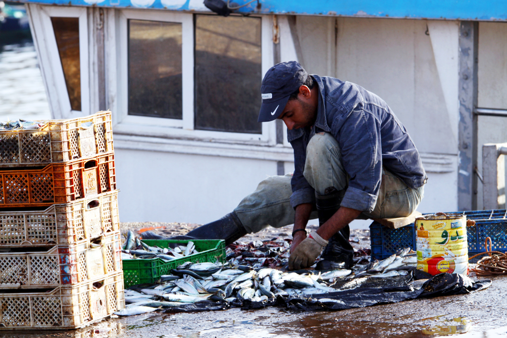 Fotografia rybaka na targu rybnym zrobiona w Agadirze podczas podróży do Maroko Autorstwa Ani Wilanowskiej.
