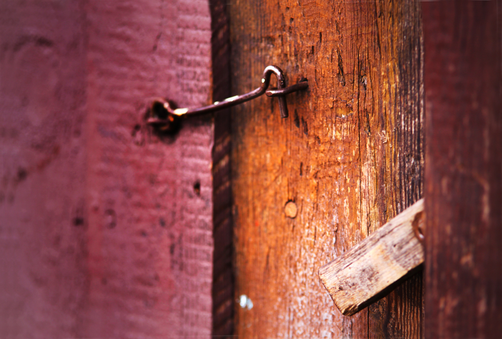 Fotografia drzwi szopy wykonana na wsi autorstwa Ani Wilanowskiej. 
