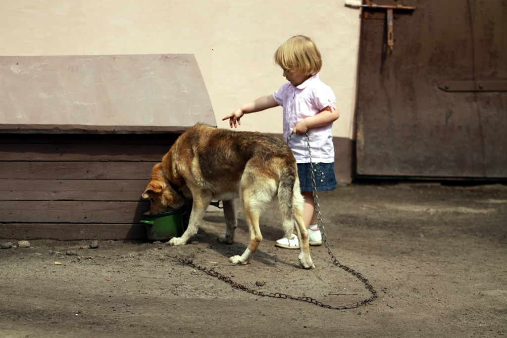 Fotografia dziecka i psa wykonana na wsi autorstwa Ani Wilanowskiej. 