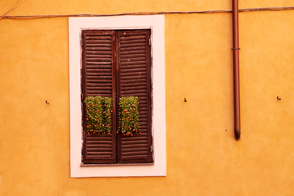 Fotografia okna wykonana w Rzymie autorstwa Ani Wilanowskiej.