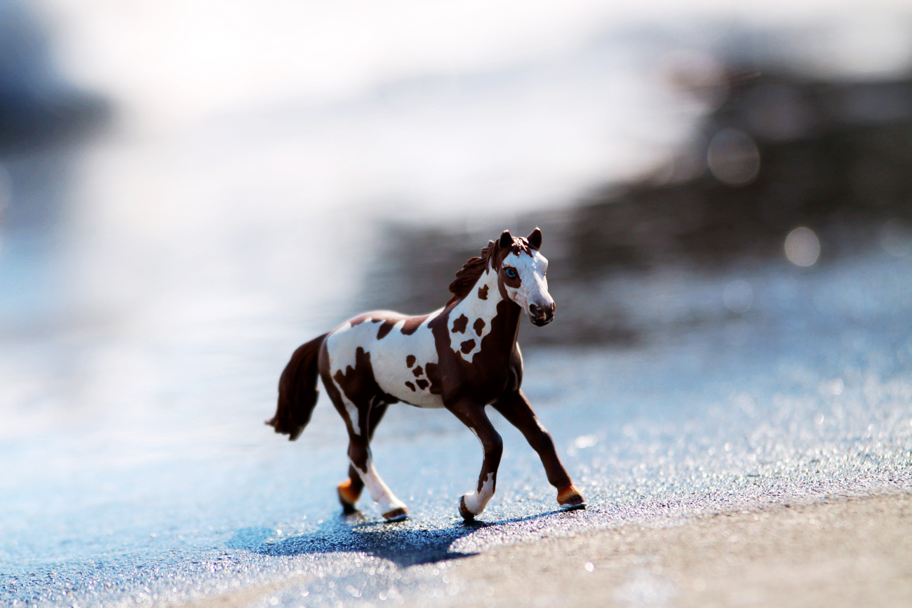 Fotografia zabawki konia autorstwa Ani Wilanowskiej.
