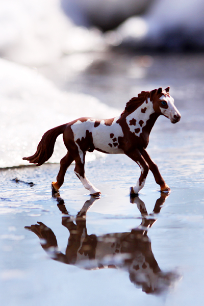 Fotografia zabawki konia autorstwa Ani Wilanowskiej.