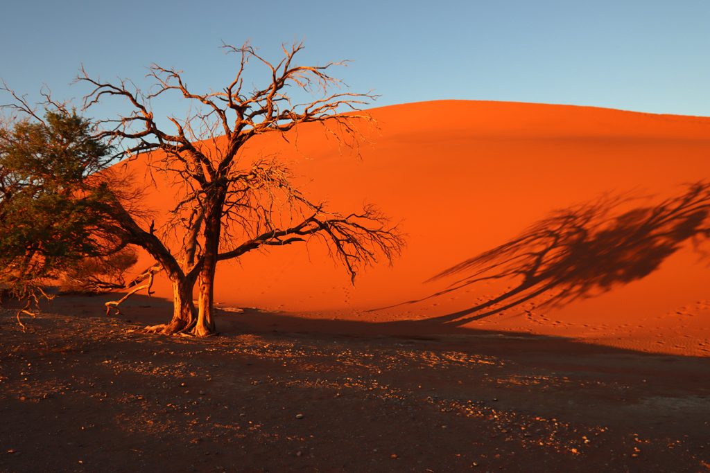 Fotografia wydmy Dune 45 o wschodzie słońca zrobiona w Sossusvlei w Namibii, autorstwa Ani Wilanowskiej