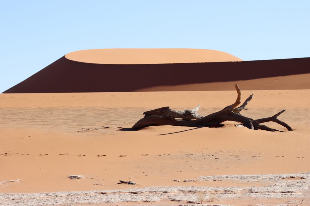 Fotografia pustyni w Deadvlei zrobiona w Namibii, autorstwa Ani Wilanowskiej