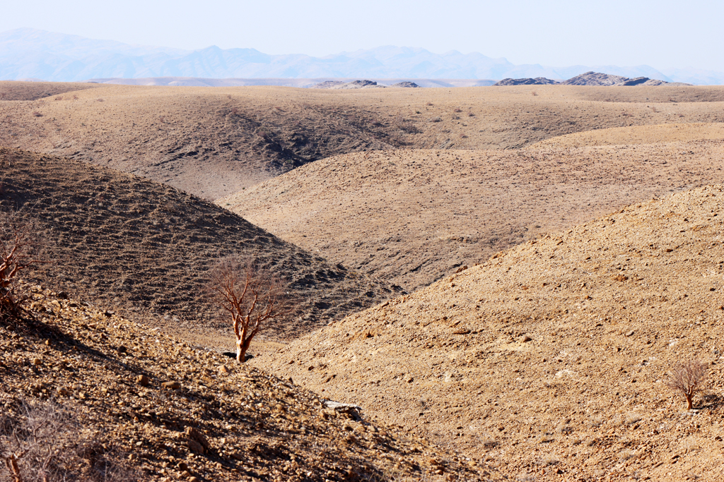 Fotografia pustyni Namib zrobiona w Namibii, autorstwa Ani Wilanowskiej