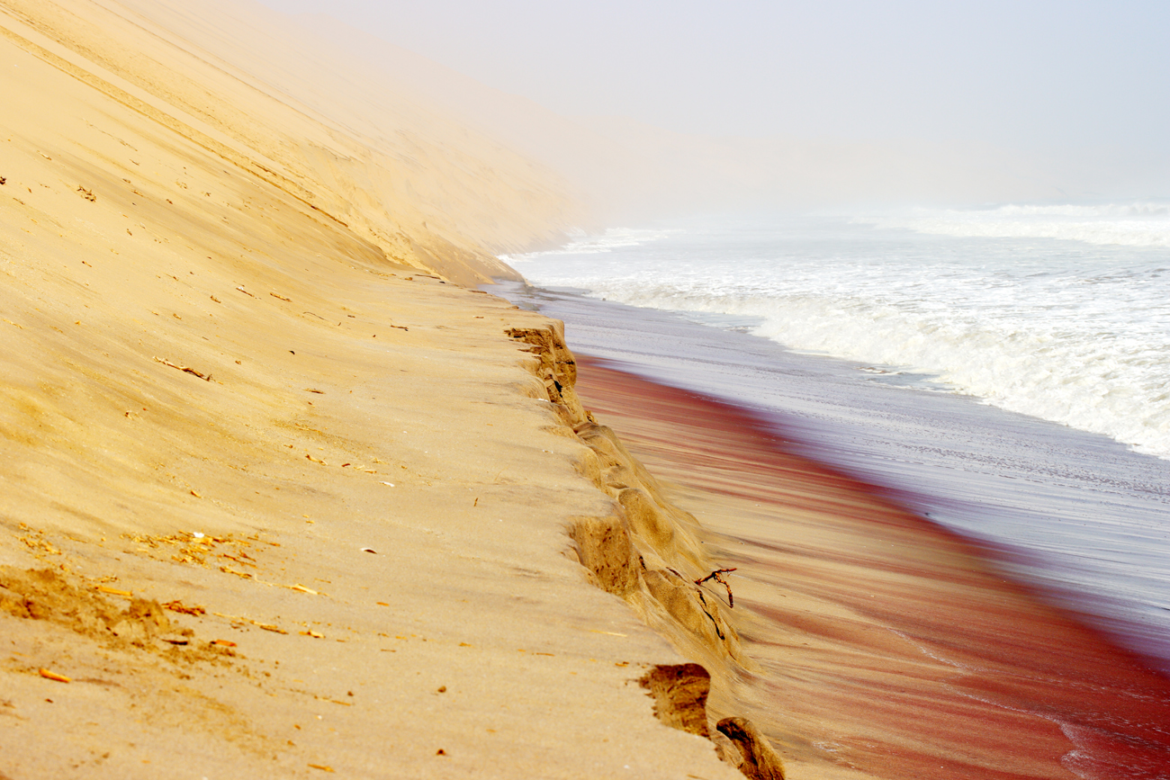 Fotografia miejsca, w którym pustynia spotyka się z oceanem w Sandwich Harbour w Namibii, autorstwa Ani Wilanowskiej