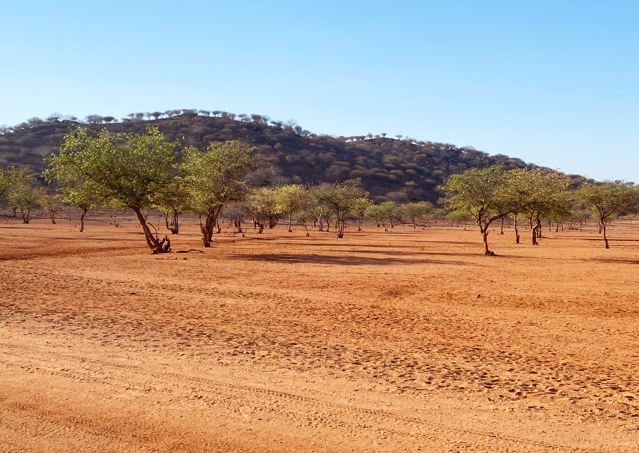 Fotografia widoku w Namibii, autorstwa Ani Wilanowskiej