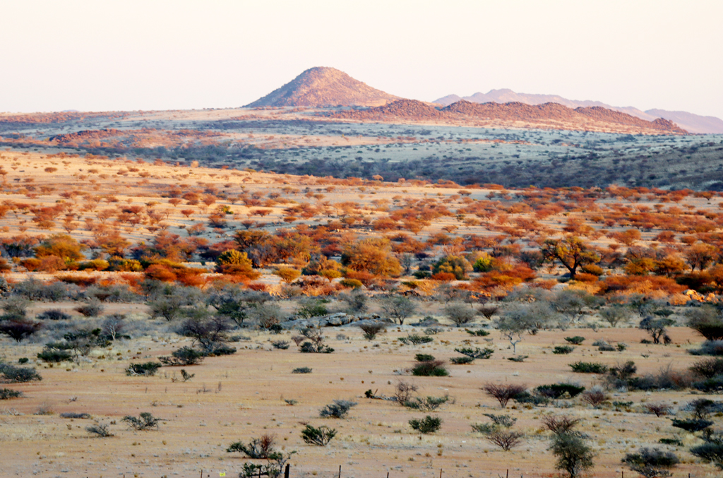 Fotografia krajobrazu w Namibii, autorstwa Ani Wilanowskiej
