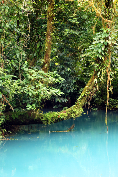 Fotografia wody w Rio Celeste zrobiona w Kostaryce, autorstwa Ani Wilanowskiej