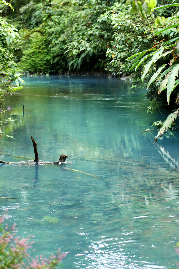 Fotografia wody w Rio Celeste zrobiona w Kostaryce, autorstwa Ani Wilanowskiej