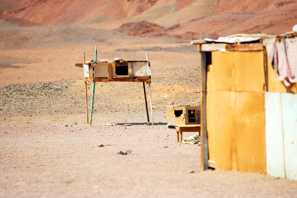 Fotografia wioski beduińskiej w Marsa Alam zrobiona w Egipcie, autorstwa Ani Wilanowskiej