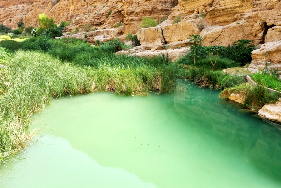 Fotografia drogi do wadi zrobiona w Omanie, autorstwa Ani Wilanowskiej