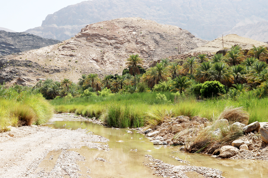 Fotografia drogi zrobiona w Omanie, autorstwa Ani Wilanowskiej
