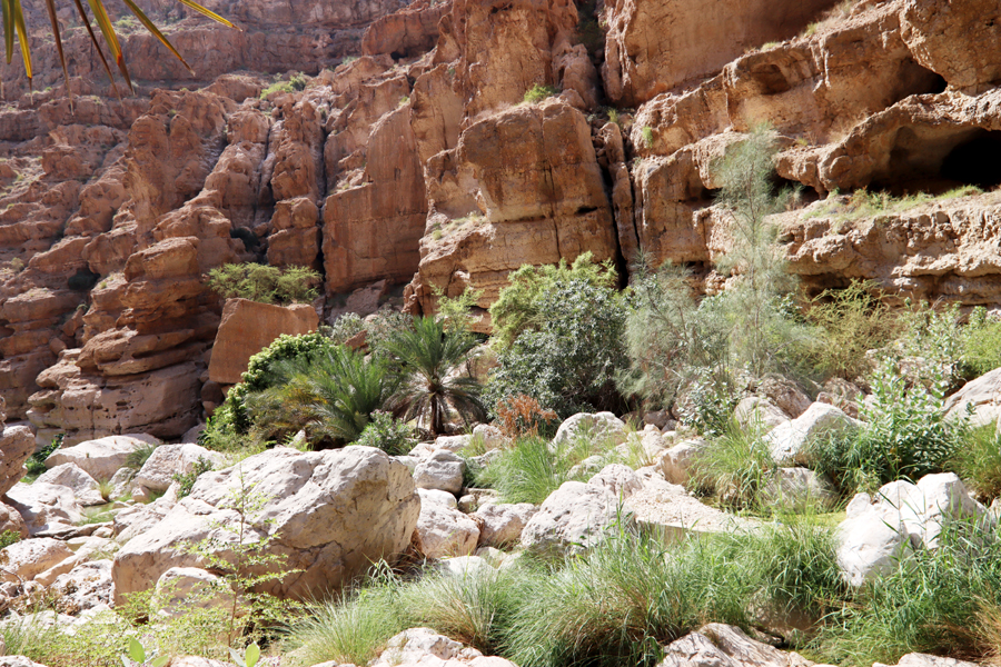 Fotografia drogi do wadi zrobiona w Omanie, autorstwa Ani Wilanowskiej