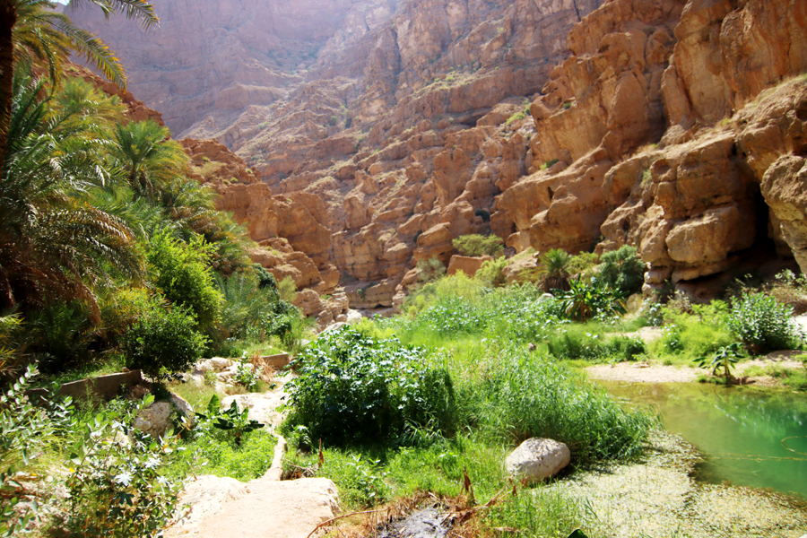 Fotografia wadi zrobiona w Omanie, autorstwa Ani Wilanowskiej