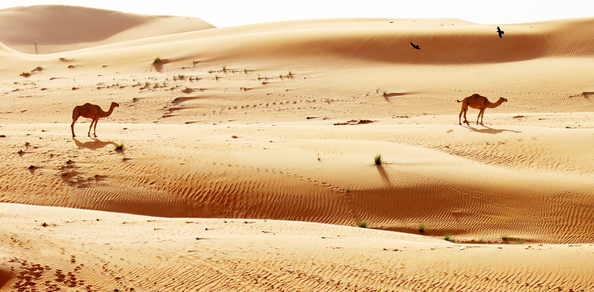 Fotografia pustyni zrobiona w Omanie, autorstwa Ani Wilanowskiej