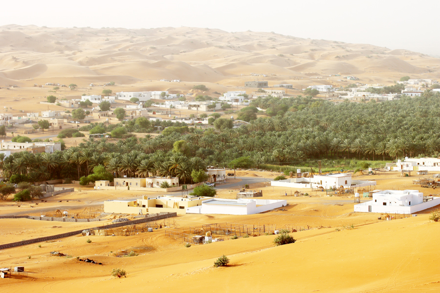 Fotografia Wahiba Sands zrobiona w Omanie, autorstwa Ani Wilanowskiej