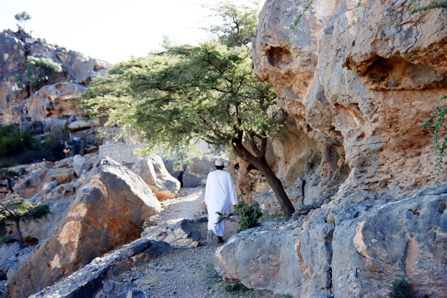 Fotografia Jebel Akhdar i Jebel Shams zrobiona w Omanie, autorstwa Ani Wilanowskiej
