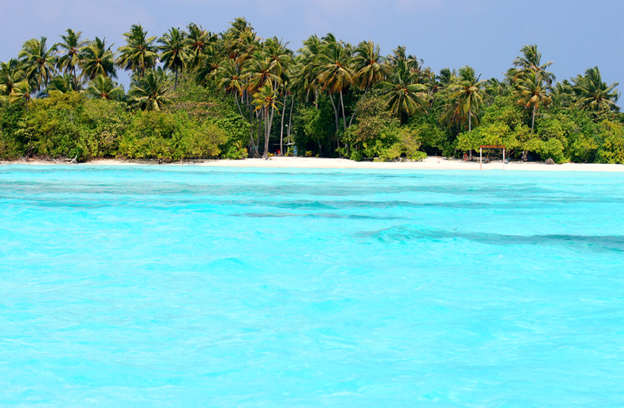 Fotografia widoku zrobiona na Malediwach na wyspie Fulhadhoo, autorstwa Ani Wilanowskiej