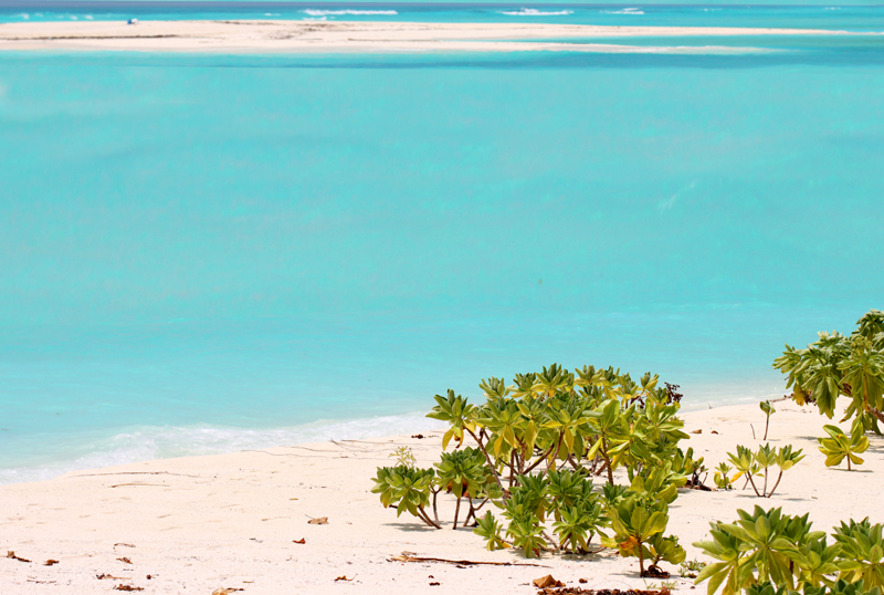 Fotografia widoku zrobiona na Malediwach na wyspie Fulhadhoo, autorstwa Ani Wilanowskiej