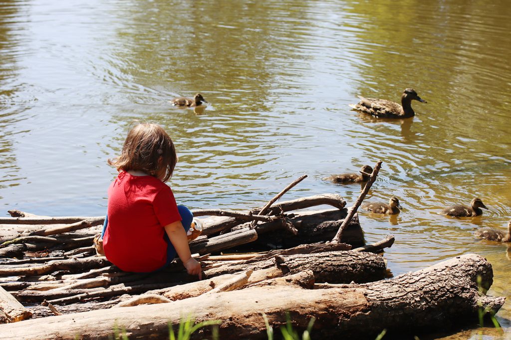Zdjęcie dziewczynki latem, oglądającej kaczki, autorstwa Ani Wilanowskiej