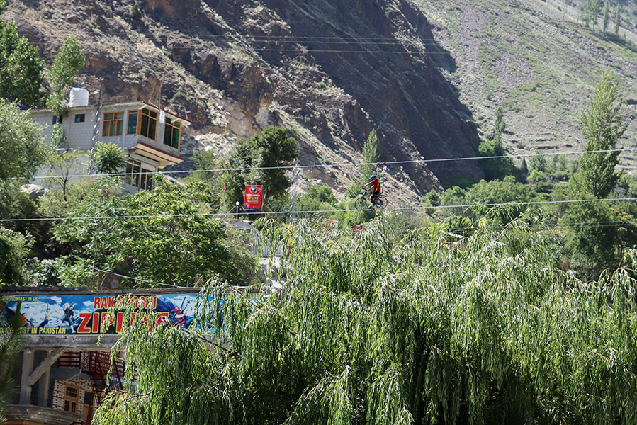 Zdjęcie drzewa zrobione w regionie Gilgit-Baltistan w Pakistanie autorstwa Anny Wilanowskiej