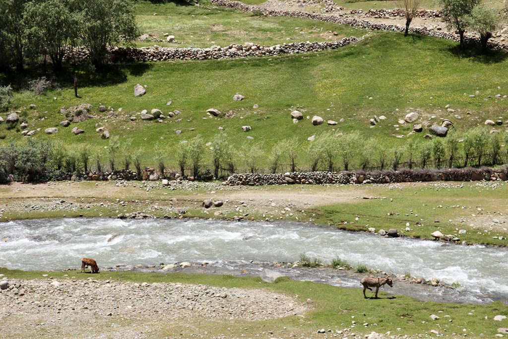 Zdjęcie widoku zrobione w regionie Gilgit-Baltistan w Pakistanie autorstwa Anny Wilanowskiej
