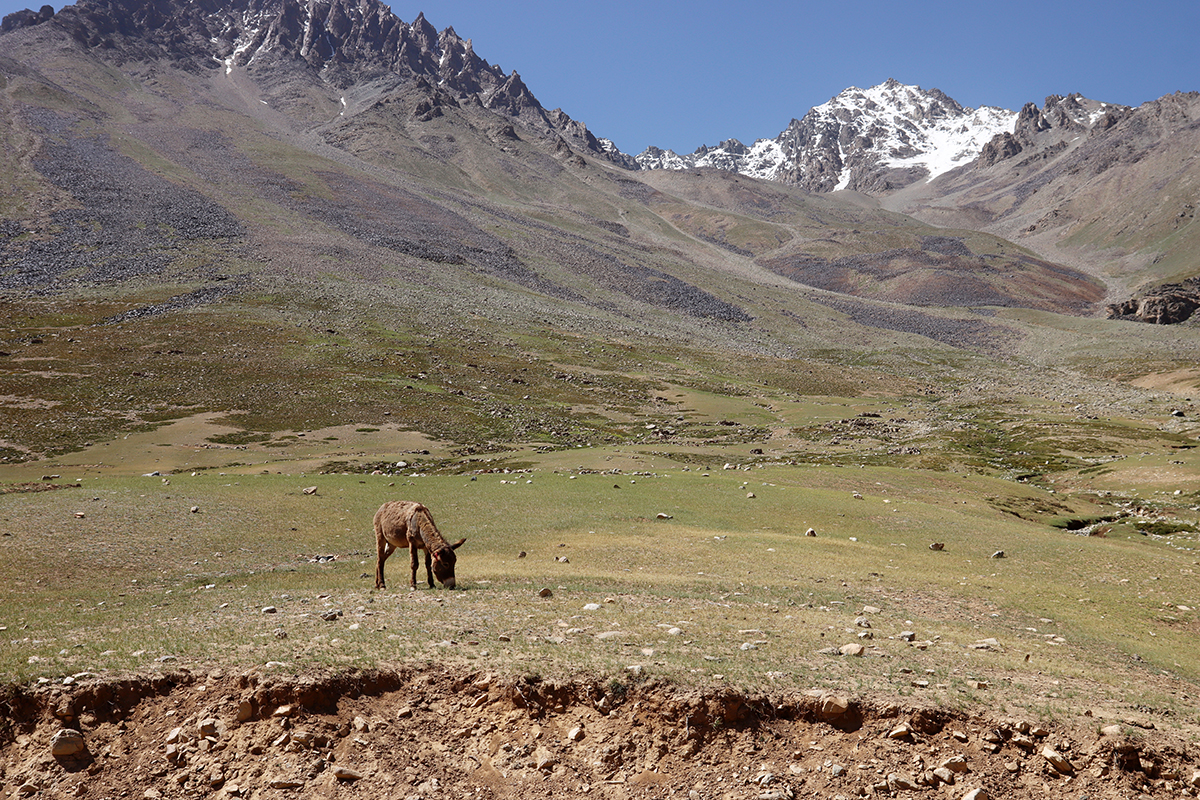 Zdjęcie widoku gór zrobione w regionie Gilgit-Baltistan w Pakistanie autorstwa Anny Wilanowskiej