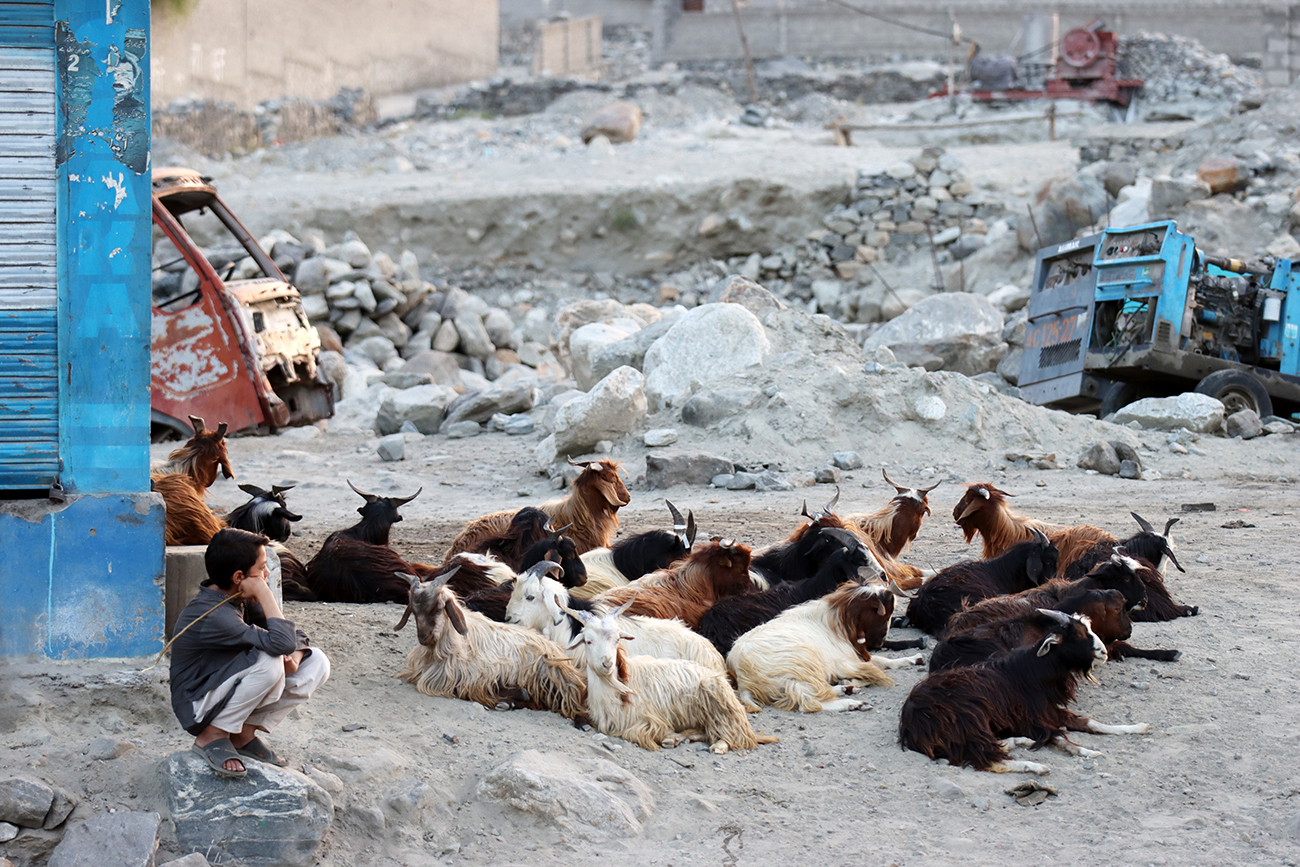 Zdjęcie ludzi i kóz zrobione w regionie Gilgit-Baltistan w Pakistanie autorstwa Anny Wilanowskiej