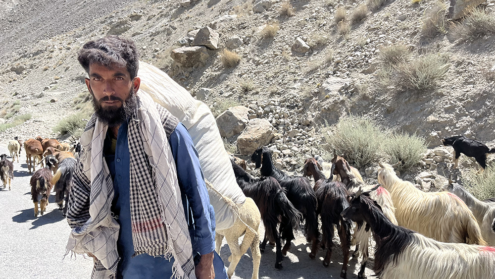 Zdjęcie pasterza i stada owiec zrobione w regionie Gilgit-Baltistan w Pakistanie autorstwa Anny Wilanowskiej