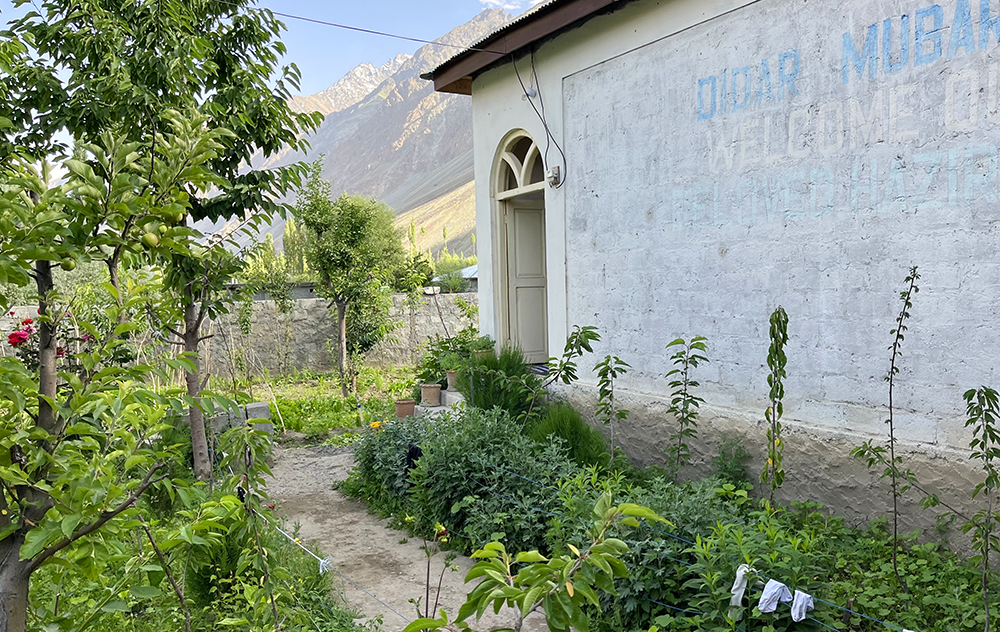 Zdjęcie ogródka zrobione w regionie Gilgit-Baltistan w Pakistanie autorstwa Anny Wilanowskiej