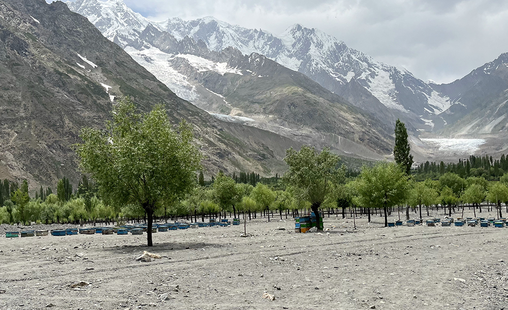 Zdjęcie uli w górach zrobione w regionie Gilgit-Baltistan w Pakistanie autorstwa Anny Wilanowskiej