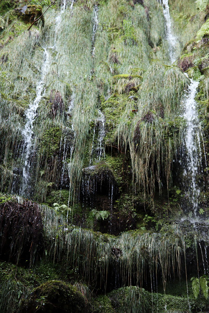 Fotografia wodospadu zrobiona na Maderze, autorstwa Ani Wilanowskiej