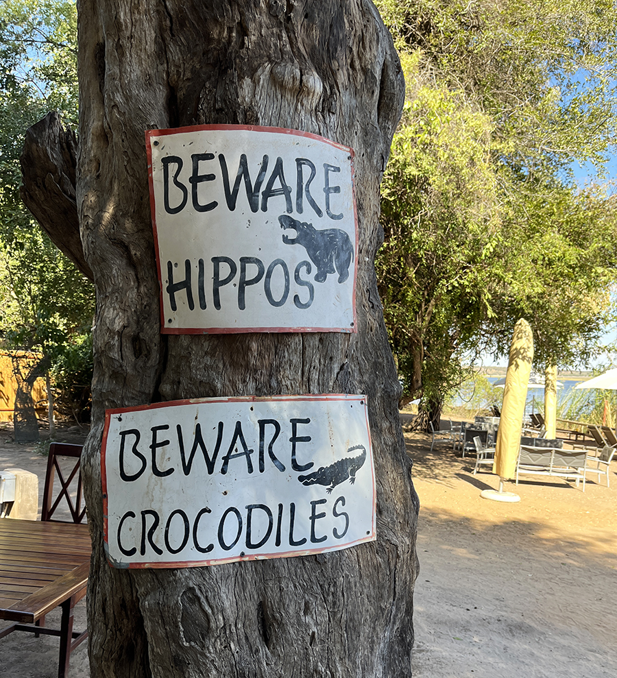 Fotografia kartki na drzewie na kempingu Chobe w Botswanie, autorstwa Ani Wilanowskiej