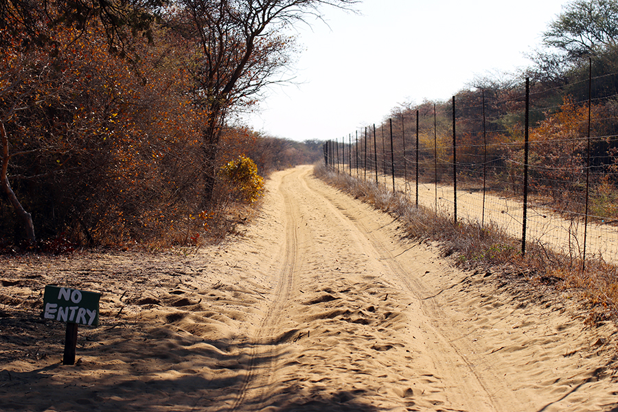 Fotografia widoku w Khama Rhino Sanctuary w Botswanie, autorstwa Ani Wilanowskiej