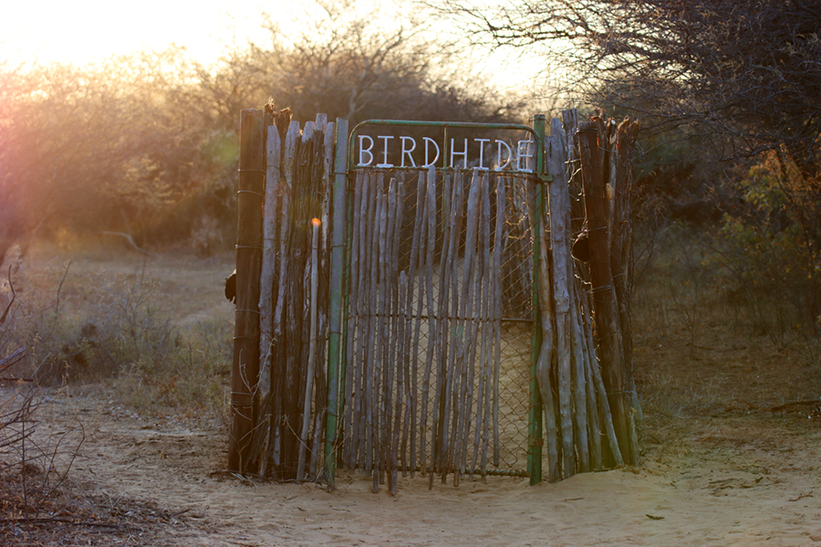Fotografia widoku w Khama Rhino Sanctuary w Botswanie, autorstwa Ani Wilanowskiej