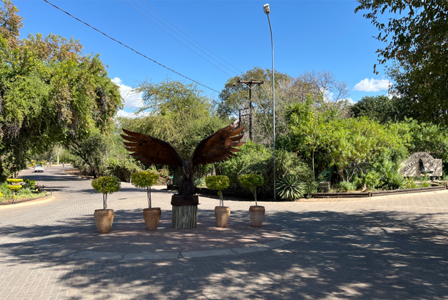 Fotografia kempingu Chobe w Botswanie, autorstwa Ani Wilanowskiej