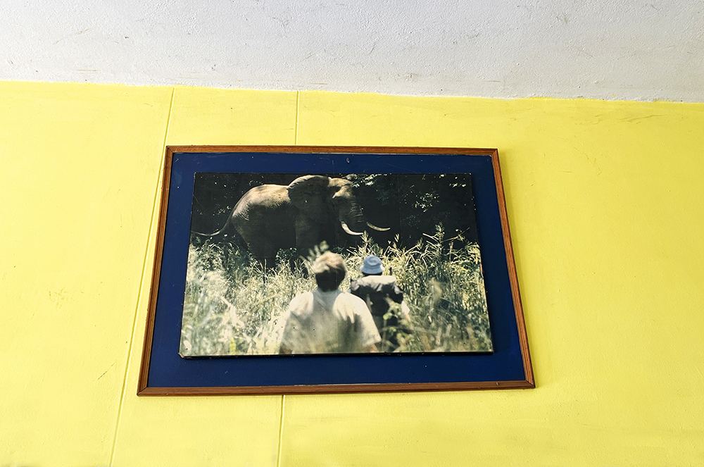 Fotografia obrazu w Botswanie, autorstwa Ani Wilanowskiej