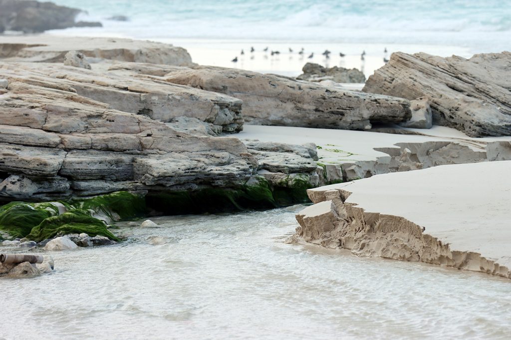 Fotografia plaży na wyspie Sokotra, autorstwa Ani Wilanowskiej