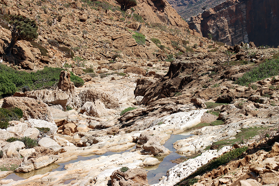 Fotografia zrobiona na drodze do wadi Homhil na wyspie Sokotra, autorstwa Ani Wilanowskiej