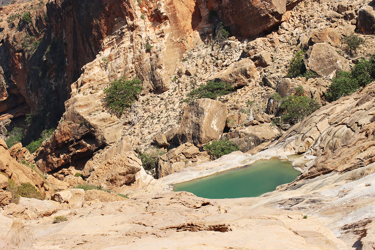Fotografia wadi Homhil zrobiona na wyspie Sokotra, autorstwa Ani Wilanowskiej