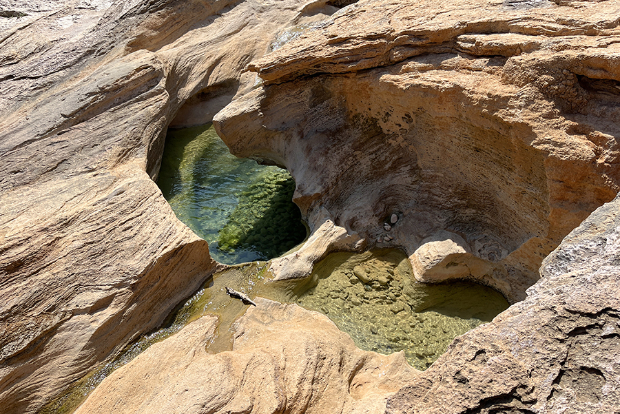 Fotografia wadi na wyspie Sokotra, autorstwa Ani Wilanowskiej