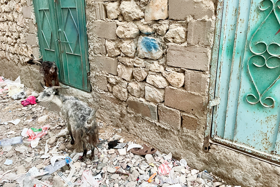 Fotografia ulicy ze śmieciami w stolicy Hadibo na wyspie Sokotra, autorstwa Ani Wilanowskiej